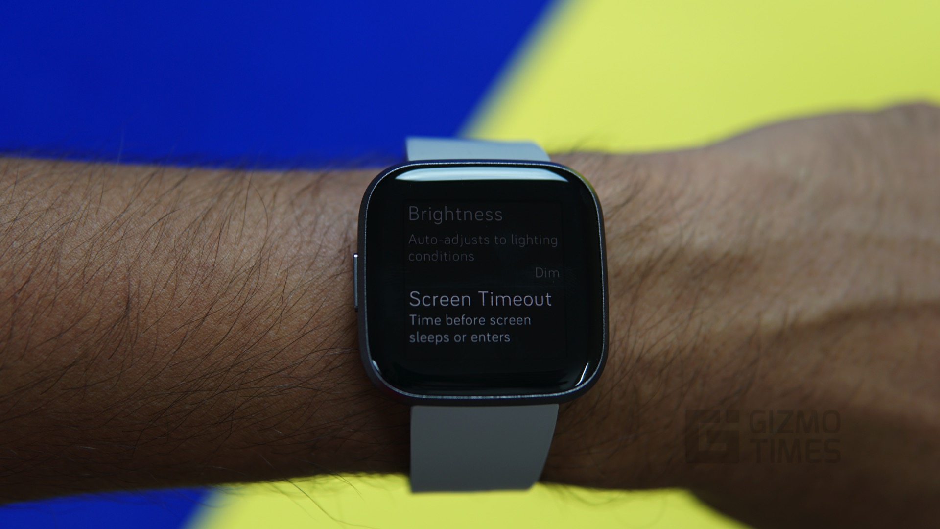 versa fitbit specs