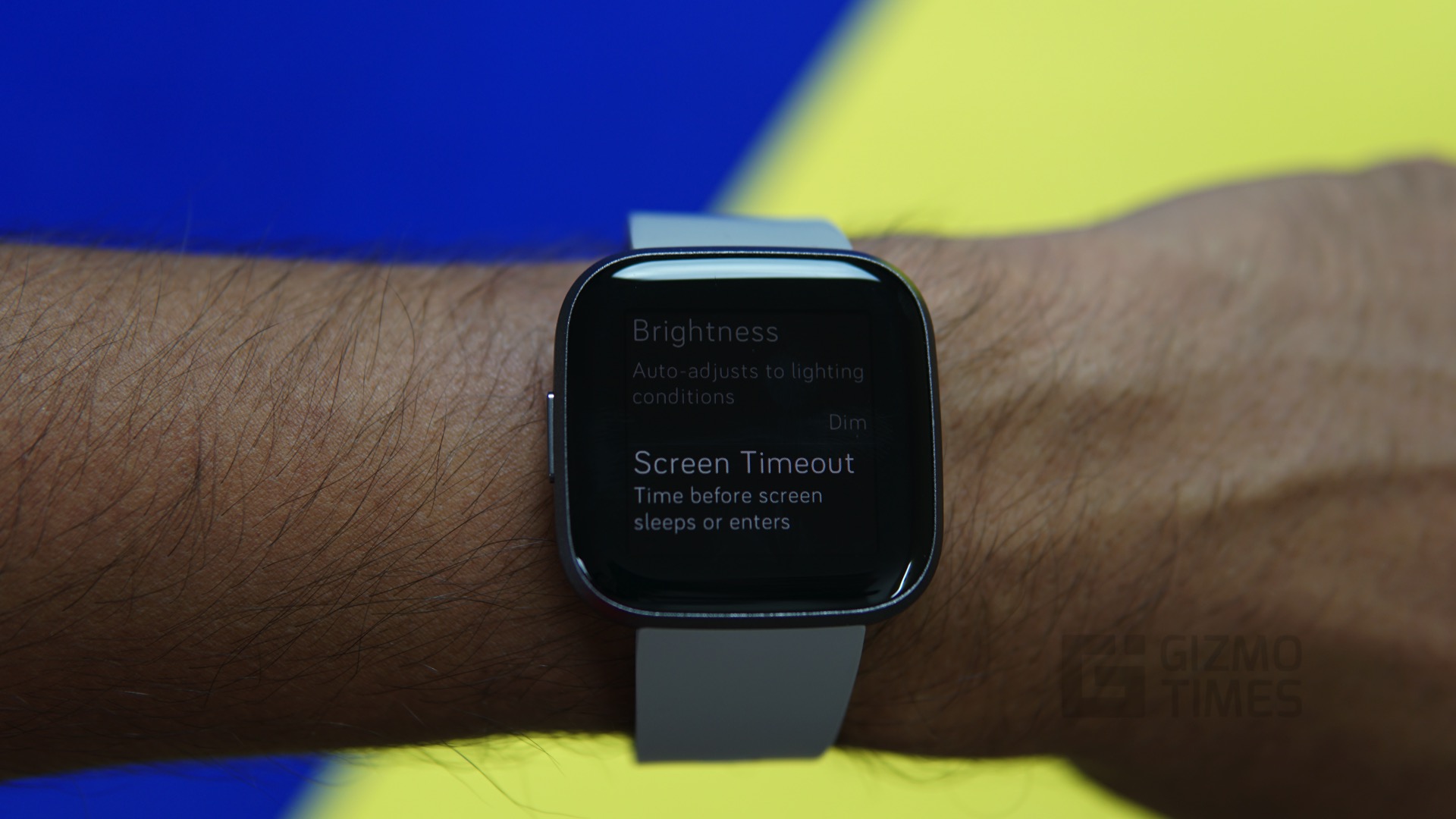 Fitbit Versa 2 Settings - Gizmo Times
