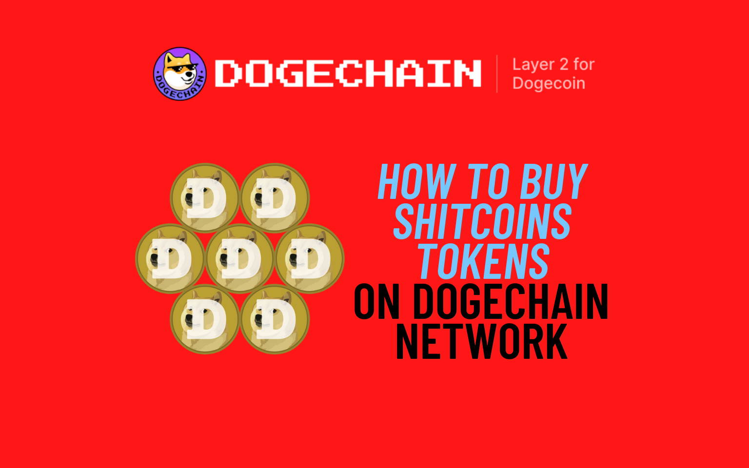 Buy Shitcoins on DogeChain