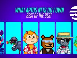 Aptos NFTs I Own