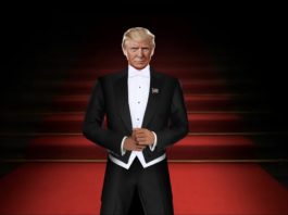 Donald Trump NFT Collection